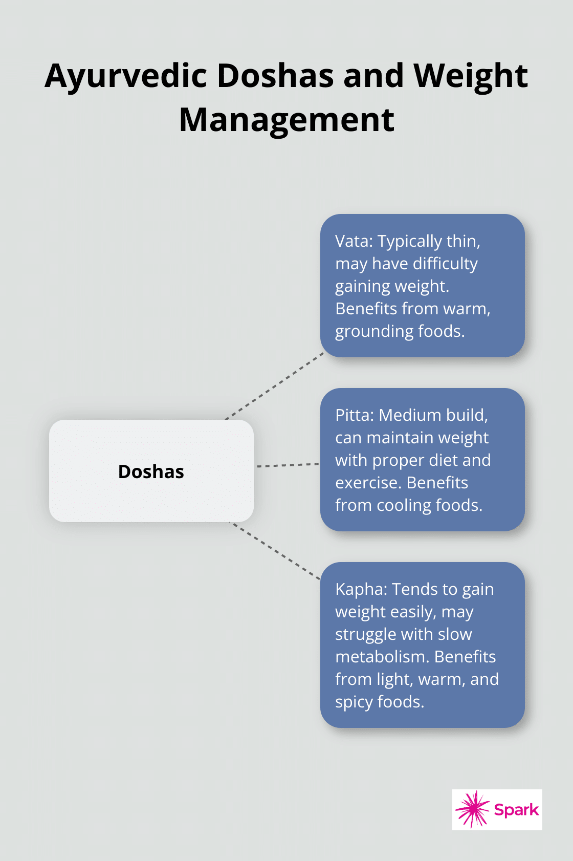 Hub and spoke chart showing the three Ayurvedic doshas (Vata, Pitta, Kapha) and their characteristics related to weight management.
