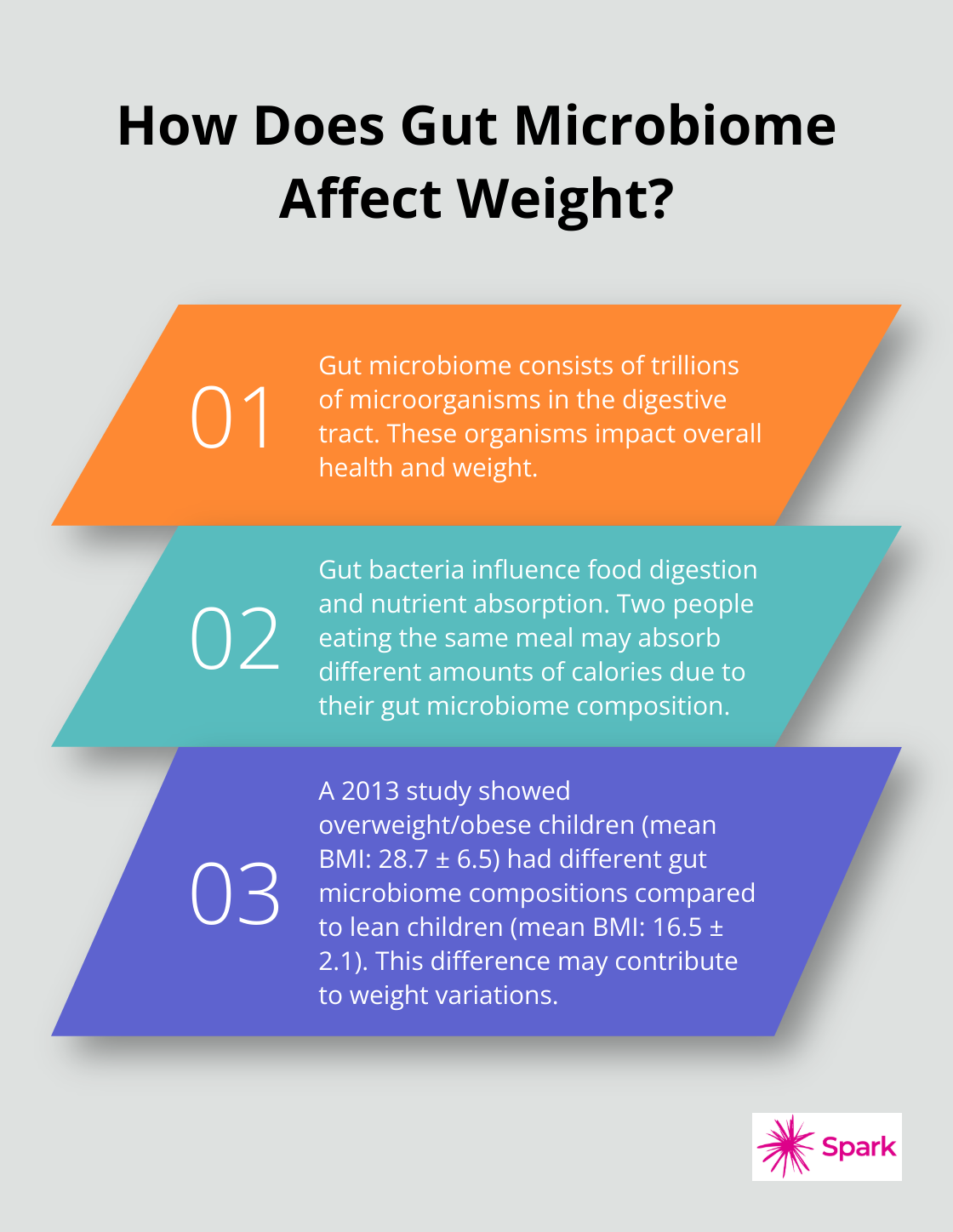 Infographic: How Does Gut Microbiome Affect Weight? - does gut health affect weight