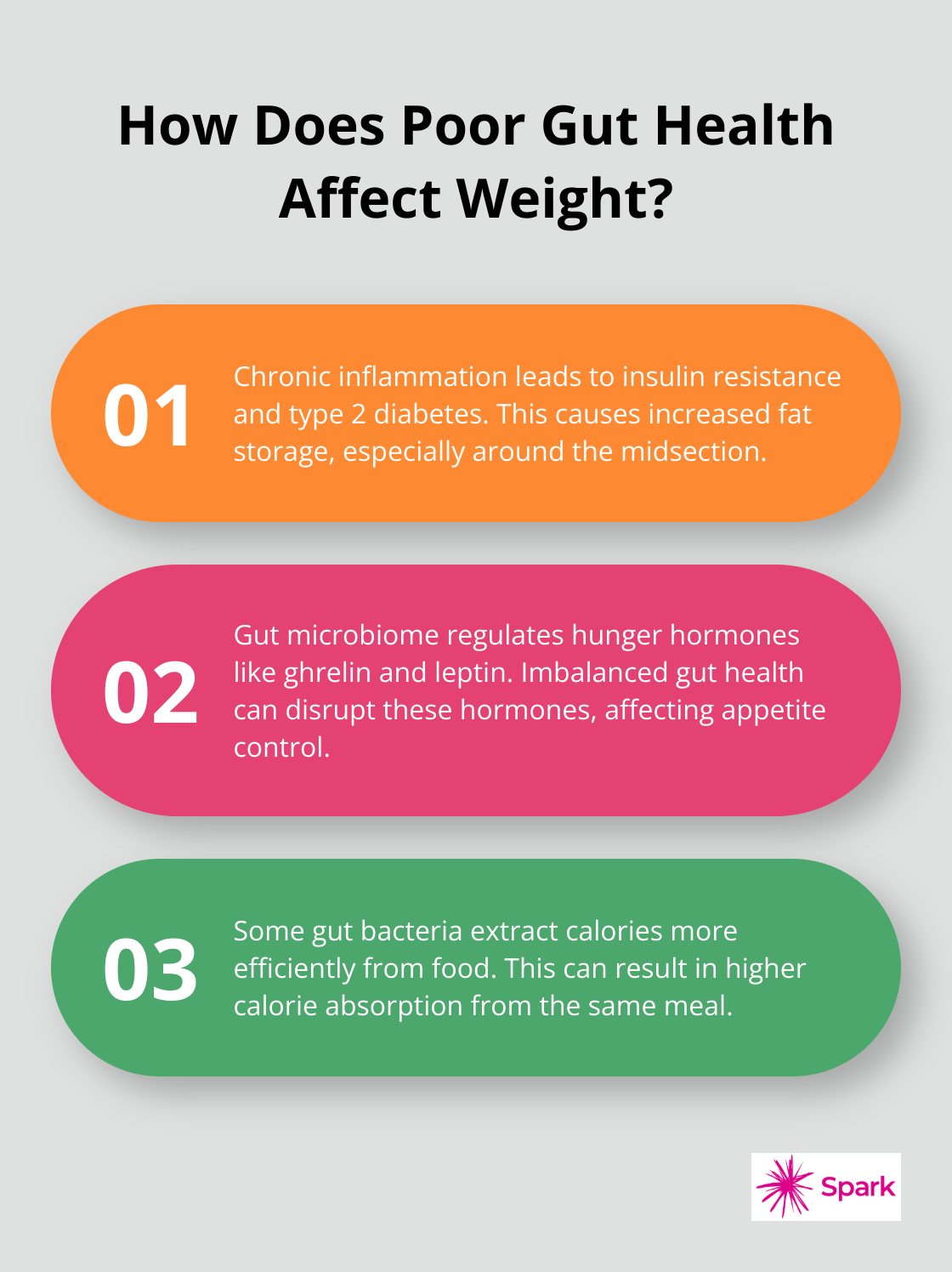 Infographic: How Does Poor Gut Health Affect Weight?