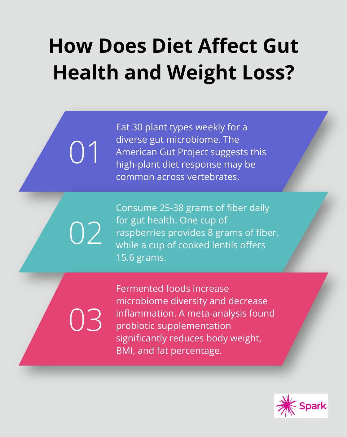 Infographic: How Does Diet Affect Gut Health and Weight Loss?