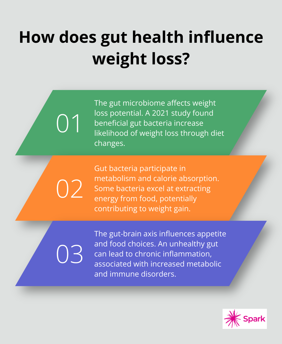 Infographic: How does gut health influence weight loss?