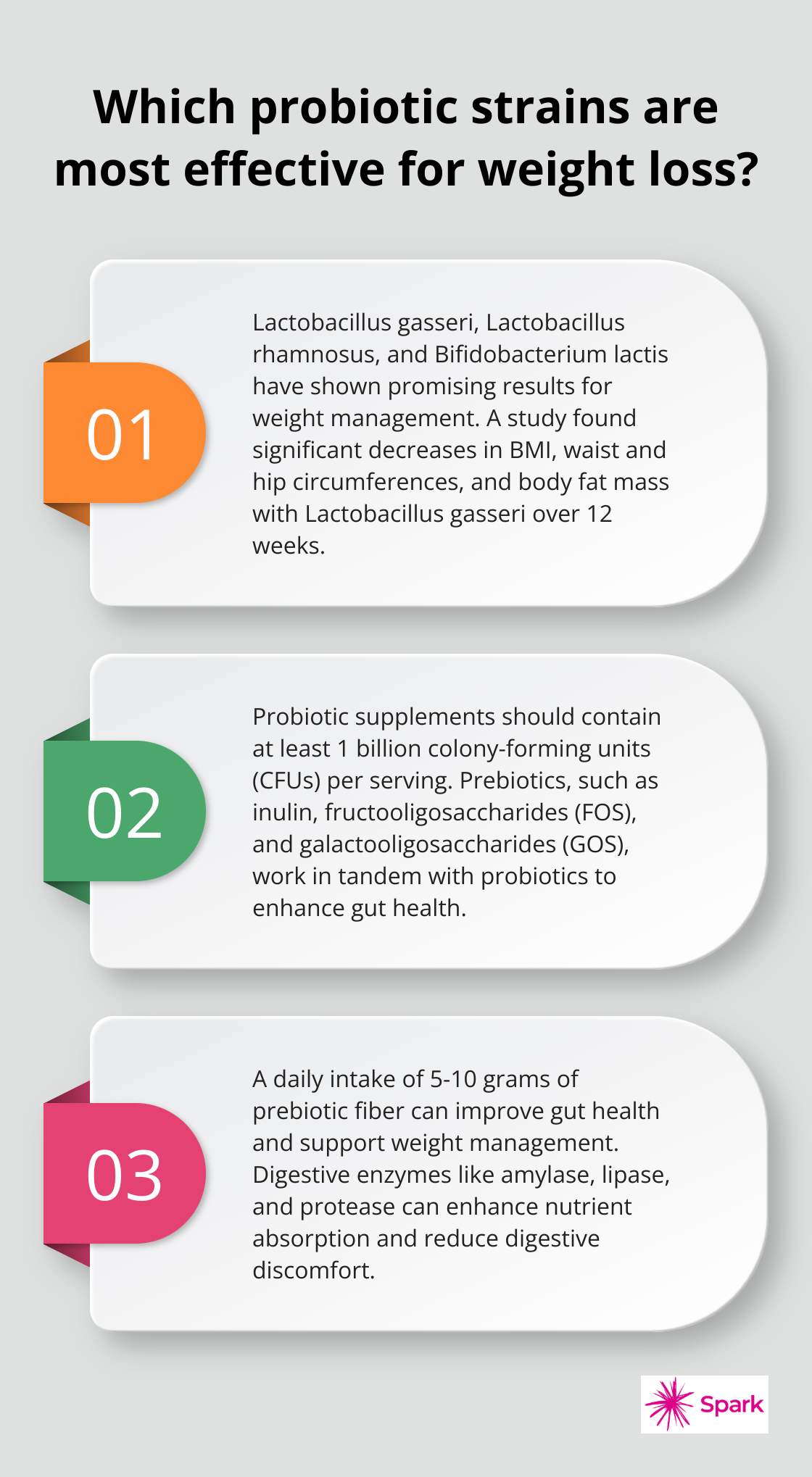 Infographic: Which probiotic strains are most effective for weight loss? - gut health supplements for weight loss