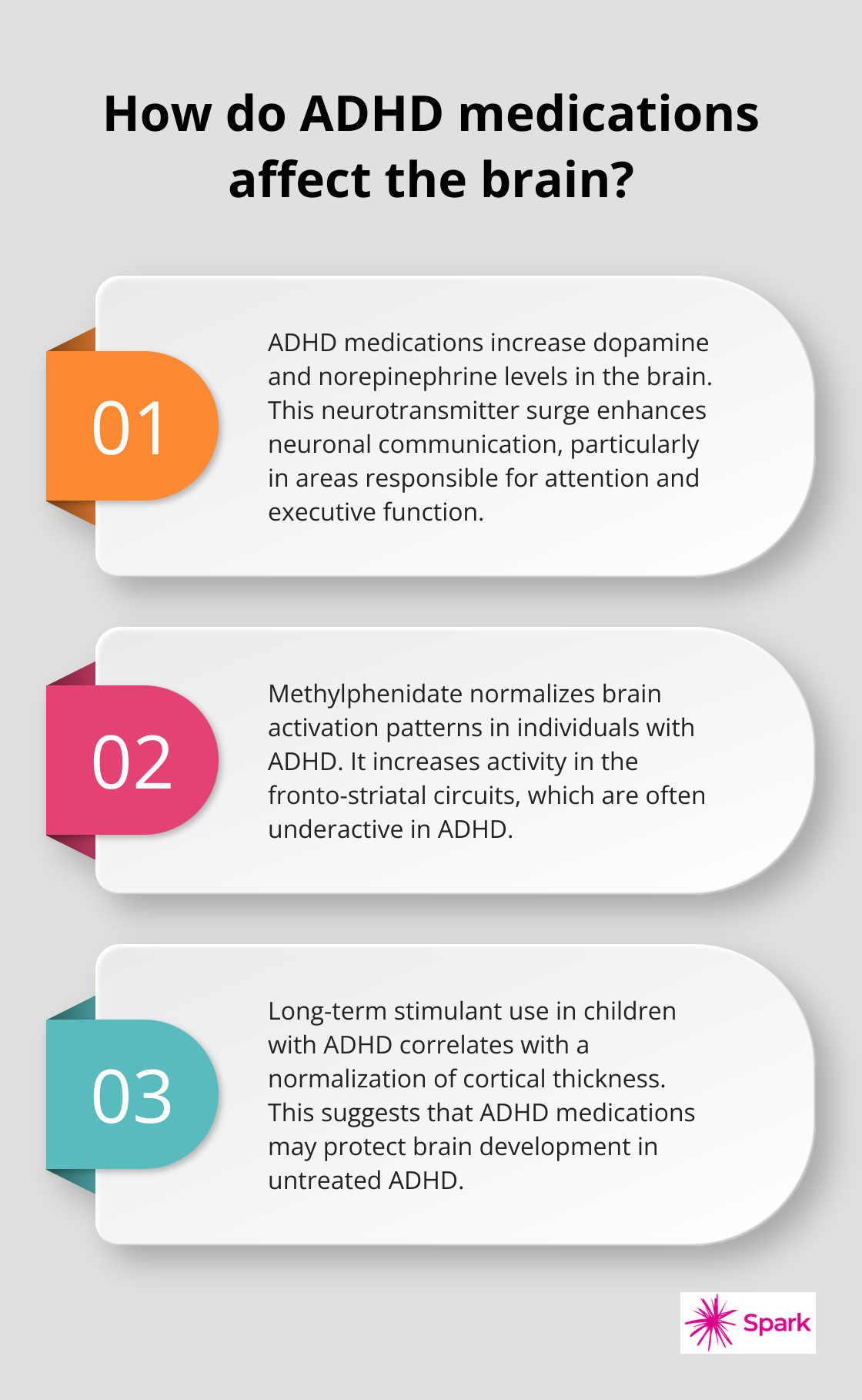 Infographic: How do ADHD medications affect the brain?