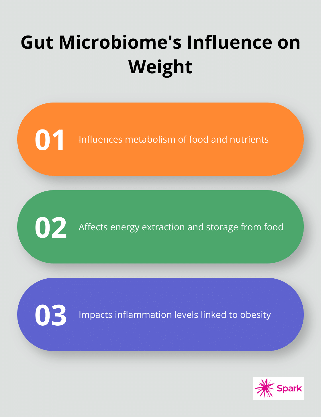 Three ways the gut microbiome affects weight: metabolism, energy storage, and inflammation