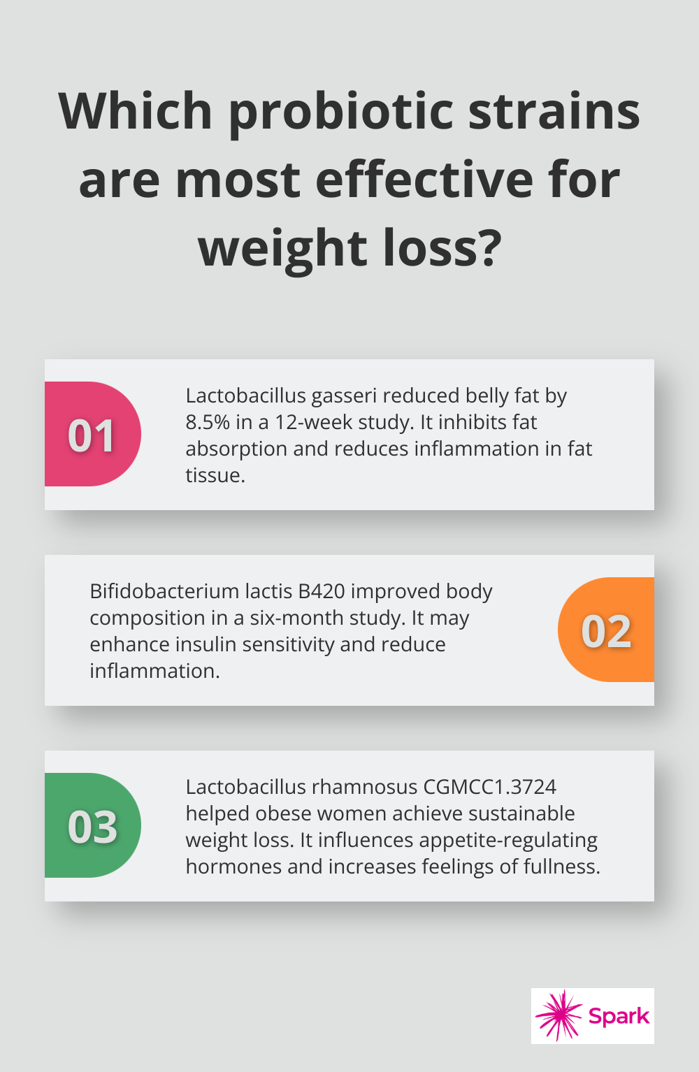Infographic: Which probiotic strains are most effective for weight loss?