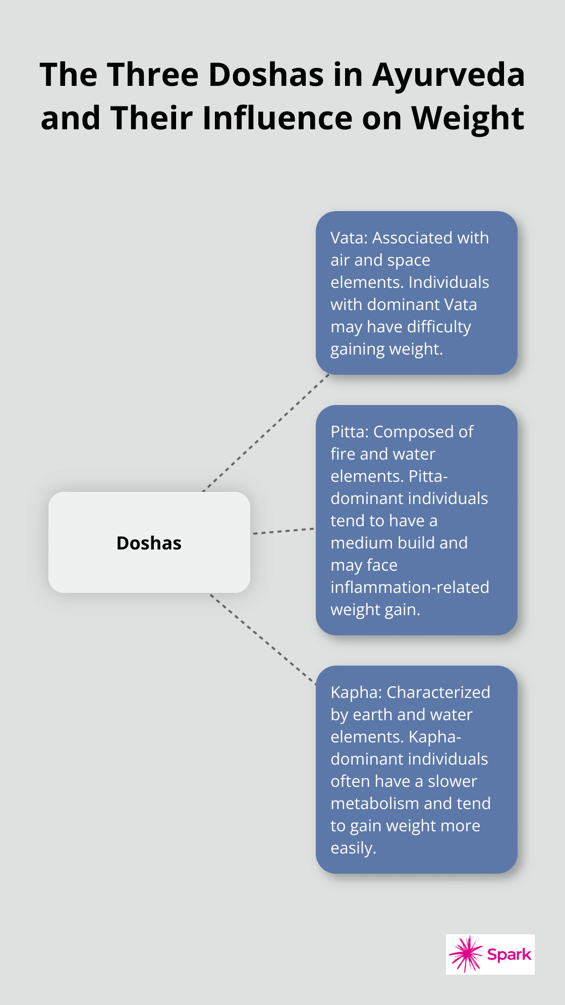 Hub and spoke chart showing the three Ayurvedic doshas (Vata, Pitta, and Kapha) and their influence on body weight - weight reduction in ayurveda